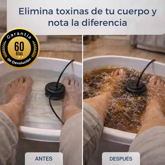 REVIONIX™ Ritual de Renovación en Casa